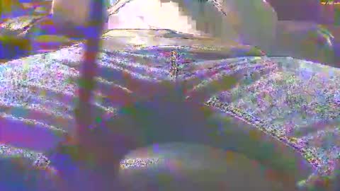 Snapshot of dfwgonewrong chatting on November 2025 04:47:02 AM dfwgonewrong online show from November 2025 04:47:02 AM