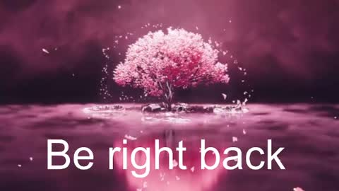 Daphne Sophia Vega online show from May 2026 12:40:02 AM