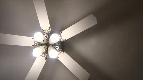 Snapshot of diamonde_steele chatting on December 2024 01:53:02 AM diamonde_steele online show from December 2024 01:53:02 AM