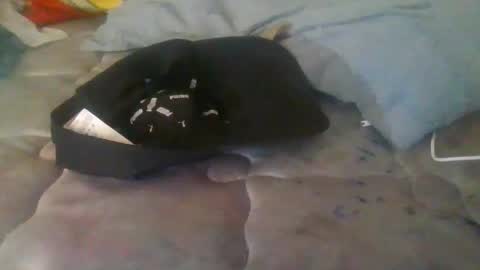 Snapshot of diamondeye112 chatting on December 2025 05:05:01 AM diamondeye112 online show from December 2025 05:05:01 AM