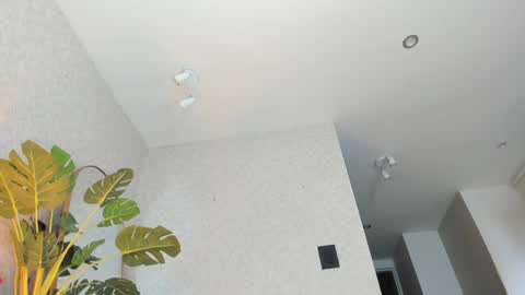 dianac1998 online show from January 2026 09:18:01 PM