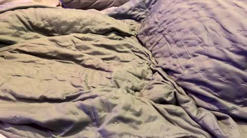 dicapri91 online show from January 2025 05:32:01 AM