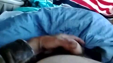 Snapshot of dickbowen64 chatting on November 2025 01:57:01 PM Dickbowen online show from November 2025 01:57:01 PM