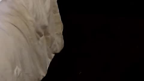 Sparkx online show from September 2025 01:05:02 AM