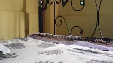 Dick balls online show from August 2026 02:46:02 AM