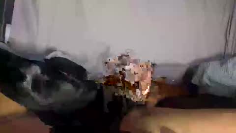 Snapshot of dicktrack92 chatting on October 2025 01:55:02 AM Dick Tracy online show from October 2025 01:55:02 AM