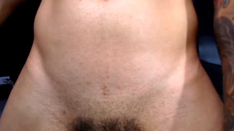 Snapshot of diego__cruz chatting on December 2024 12:11:01 PM Diego online show from December 2024 12:11:01 PM