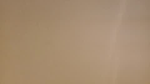 Snapshot of diegomoreno19 chatting on February 2025 11:38:02 AM Diego online show from February 2025 11:38:02 AM