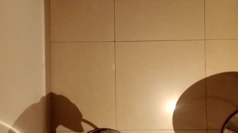 Snapshot of diegomoreno19 chatting on March 2025 10:02:01 AM Diego online show from March 2025 10:02:01 AM