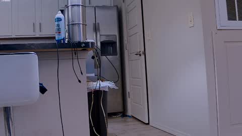 Snapshot of dilldough405 chatting on January 2025 06:07:01 PM Dilldough405 online show from January 2025 06:07:01 PM