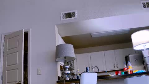 Snapshot of dilldough405 chatting on February 2025 09:56:02 PM Dilldough405 online show from February 2025 09:56:02 PM