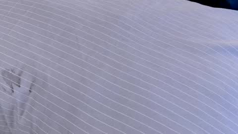 Snapshot of dilldough405 chatting on February 2025 07:55:02 AM Dilldough405 online show from February 2025 07:55:02 AM