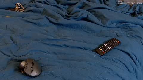 Snapshot of dilldough405 chatting on September 2025 05:07:02 AM Dilldough405 online show from September 2025 05:07:02 AM