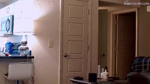 Snapshot of dilldough405 chatting on September 2025 01:18:01 AM Dilldough405 online show from September 2025 01:18:01 AM