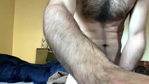 Dingler online show from November 2025 07:47:01 PM