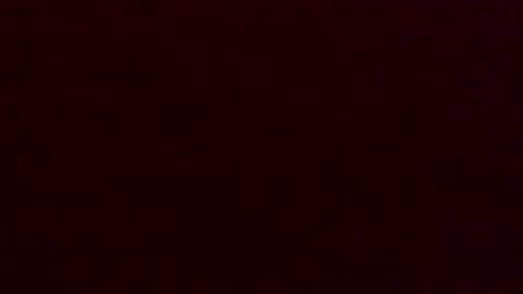 Dingler online show from December 2025 10:36:01 PM