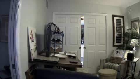 DirtkPitt Fun guy working online show from January 2025 03:05:01 AM