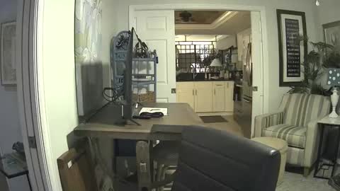 DirtkPitt Fun guy working online show from February 2025 06:01:01 AM