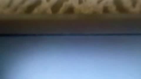 free4fun online show from April 2026 06:30:01 AM