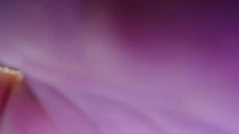 Snapshot of dirty_kiss69 chatting on February 2025 11:31:01 PM Dirty Kiss69 online show from February 2025 11:31:01 PM