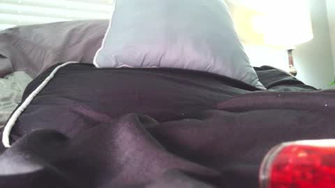 Snapshot of dirtydaisy1998 chatting on December 2024 01:44:01 PM Daisy Wylde online show from December 2024 01:44:01 PM