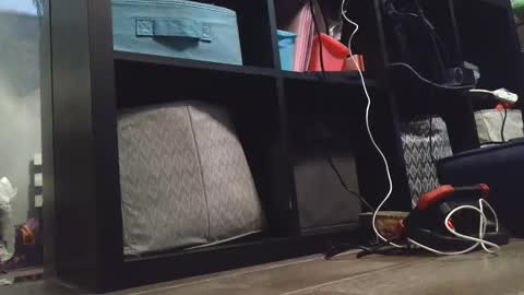 Snapshot of dirtydaisy1998 chatting on December 2024 11:21:01 PM Daisy Wylde online show from December 2024 11:21:01 PM