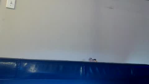 Snapshot of dirtydaisy1998 chatting on November 2025 01:32:02 PM Daisy Wylde online show from November 2025 01:32:02 PM