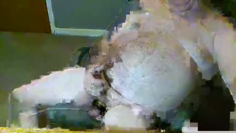 dirtydave52 online show from March 2026 11:10:01 AM