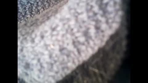discovery63 online show from May 2026 09:48:01 AM