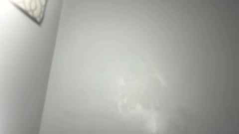 Snapshot of dixkzilla chatting on March 2025 11:09:02 PM dixkzilla online show from March 2025 11:09:02 PM