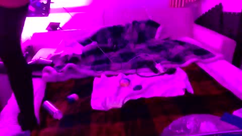 Izzy Knyx online show from December 2025 04:31:02 AM