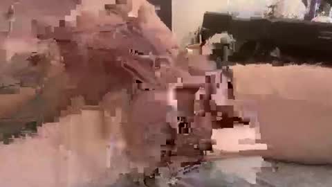 djfrankieice online show from February 2026 04:53:01 AM