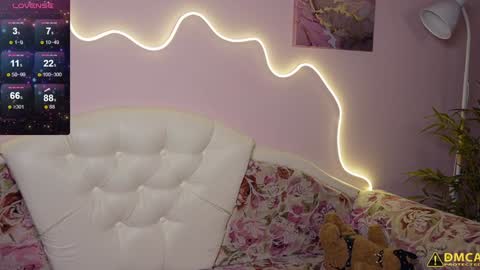 djokonda online show from February 2025 10:29:01 AM