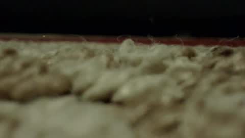 Snapshot of djwats chatting on February 2025 01:57:02 AM Mmmmgood online show from February 2025 01:57:02 AM