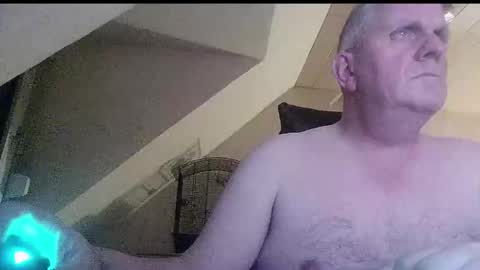 doggy2629 online show from December 2025 04:48:01 PM