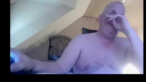 doggy2629 online show from April 2026 05:54:02 PM