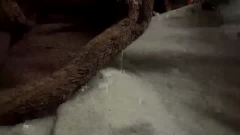 Snapshot of doingmek9 chatting on February 2025 11:20:01 AM doingmek9 online show from February 2025 11:20:01 AM