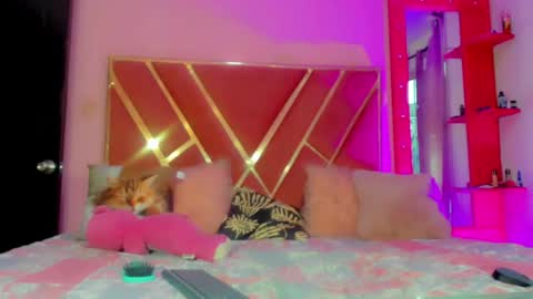 dollcute_latin online show from May 2026 10:03:01 PM
