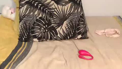 Snapshot of dollerotica699 chatting on September 2025 05:06:01 PM dollerotica699 online show from September 2025 05:06:01 PM