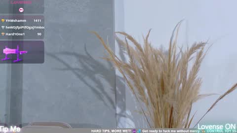 dolly_brownc online show from February 2026 10:35:01 PM