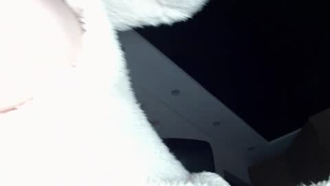 Snapshot of dolly_sun chatting on December 2024 11:54:02 AM ILONA online show from December 2024 11:54:02 AM