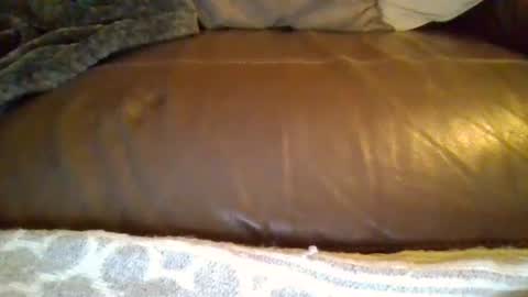 dom91070 online show from February 2026 10:02:02 PM