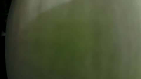 Dom Doug B. online show from January 2025 01:33:01 AM