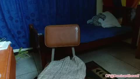 Snapshot of dominantthewolf chatting on May 2026 05:46:01 AM Logan - INDEPENDET MODEL online show from May 2026 05:46:01 AM