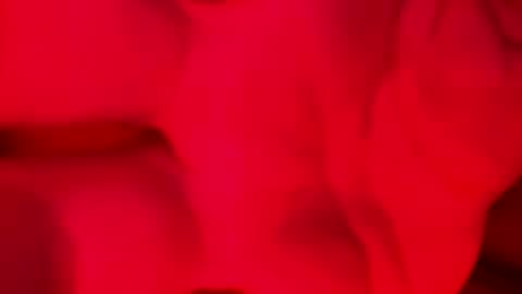 Snapshot of domingodelluvia chatting on November 2025 02:06:02 AM Alzest online show from November 2025 02:06:02 AM