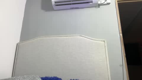 Snapshot of dominic_brand chatting on November 2025 07:47:01 AM Brandon online show from November 2025 07:47:01 AM