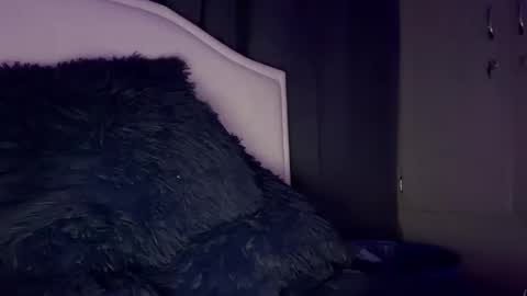 Snapshot of dominic_brand chatting on December 2025 02:39:02 AM Brandon online show from December 2025 02:39:02 AM