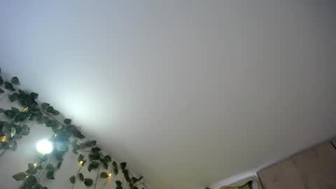 dominic_sofia online show from June 2026 12:09:02 PM