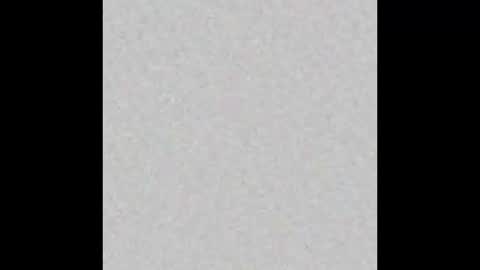 domnsubdiaries online show from October 2025 01:39:01 AM