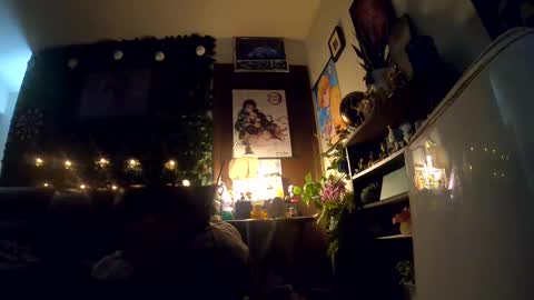 Sapphire Fox online show from October 2025 08:32:01 AM